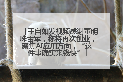 王自如发视频感谢董明珠雷军，称将再次创业，聚焦AI应用方向，“这件事确实来钱快”