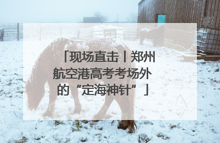 现场直击丨郑州航空港高考考场外的“定海神针”