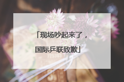 现场吵起来了，国际乒联致歉