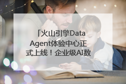 火山引擎Data Agent体验中心正式上线！企业级AI数据专家触手可及