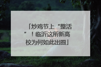 炒鸡节上“整活”！临沂这所新高校为何如此出圈