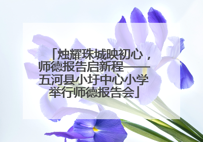 烛耀珠城映初心，师德报告启新程——五河县小圩中心小学举行师德报告会