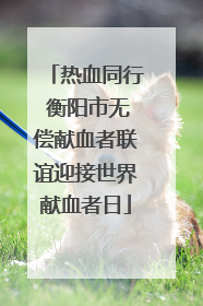 热血同行 衡阳市无偿献血者联谊迎接世界献血者日