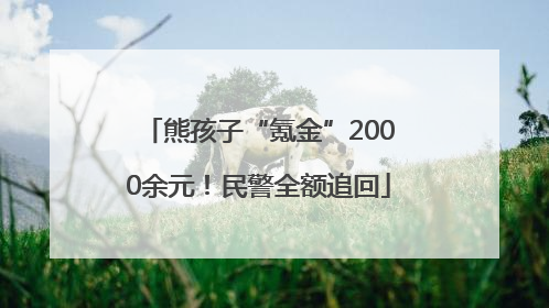 熊孩子“氪金”2000余元！民警全额追回