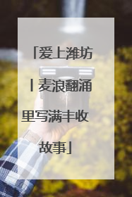 爱上潍坊丨麦浪翻涌里写满丰收故事