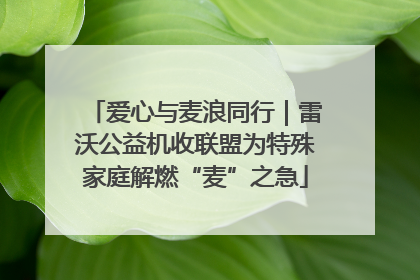 爱心与麦浪同行｜雷沃公益机收联盟为特殊家庭解燃“麦”之急