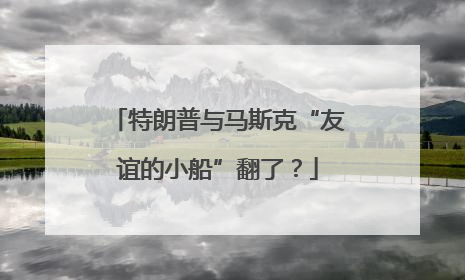 特朗普与马斯克“友谊的小船”翻了？