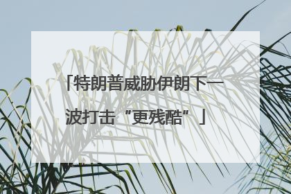 特朗普威胁伊朗下一波打击“更残酷”