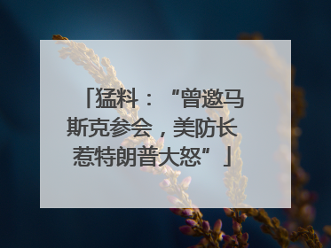猛料：“曾邀马斯克参会，美防长惹特朗普大怒”