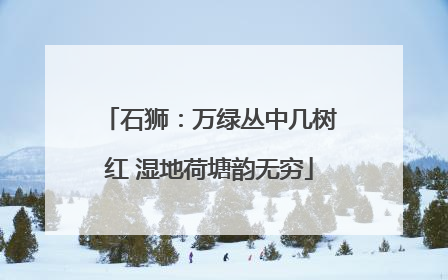 石狮：万绿丛中几树红 湿地荷塘韵无穷