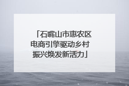 石嘴山市惠农区电商引擎驱动乡村振兴焕发新活力