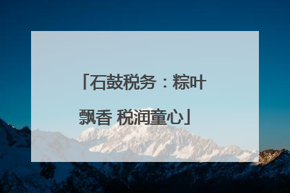 石鼓税务：粽叶飘香 税润童心