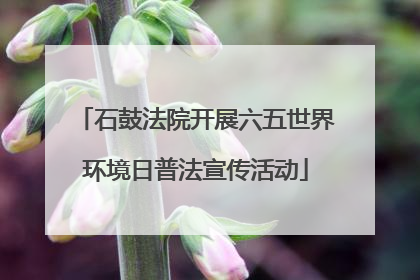 石鼓法院开展六五世界环境日普法宣传活动