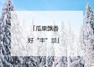 瓜果飘香 好“丰”景