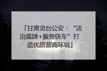 甘肃灵台公安：“法治盾牌+服务快车”打造优质营商环境