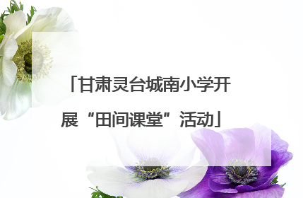 甘肃灵台城南小学开展“田间课堂”活动