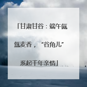 甘肃甘谷：端午氤氲麦香，“谷角儿”系起千年亲情