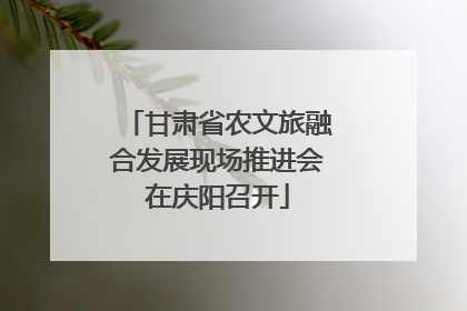 甘肃省农文旅融合发展现场推进会在庆阳召开