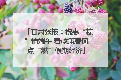 甘肃张掖：税惠“粽”情端午 看政策春风点“燃”假期经济