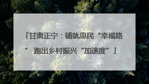 甘肃正宁：铺就惠民“幸福路” 跑出乡村振兴“加速度”