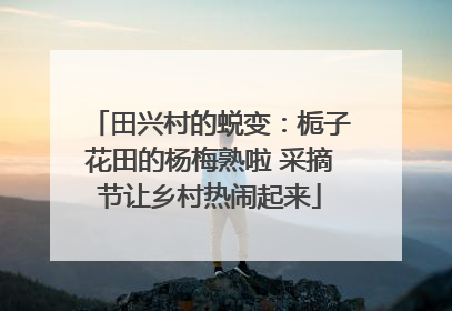 田兴村的蜕变：栀子花田的杨梅熟啦 采摘节让乡村热闹起来