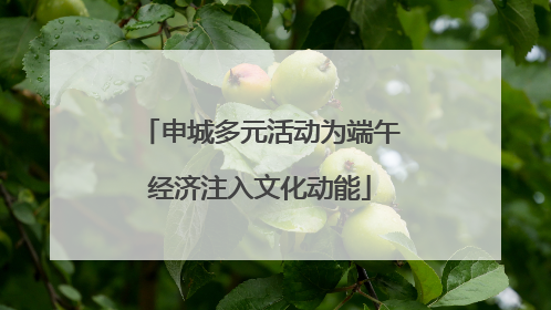 申城多元活动为端午经济注入文化动能