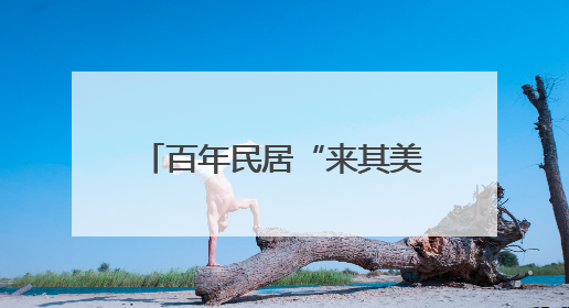 百年民居“来其美”如何从危房“孤岛”变挂牌文物？