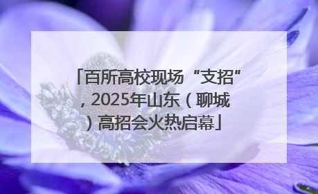 百所高校现场“支招”，2025年山东（聊城）高招会火热启幕