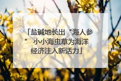 盐碱地长出“海人参” 小小海虫草为海洋经济注入新活力