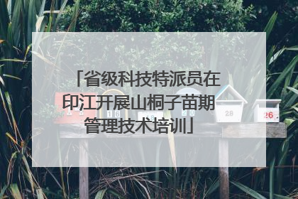 省级科技特派员在印江开展山桐子苗期管理技术培训