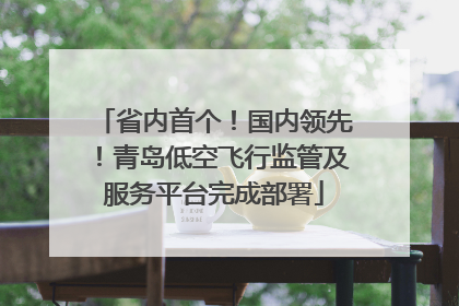 省内首个！国内领先！青岛低空飞行监管及服务平台完成部署