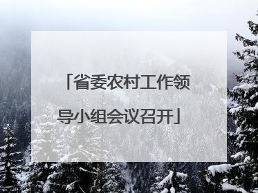 省委农村工作领导小组会议召开