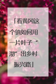 看黄冈这个镇如何用一片叶子“沏”出乡村振兴路