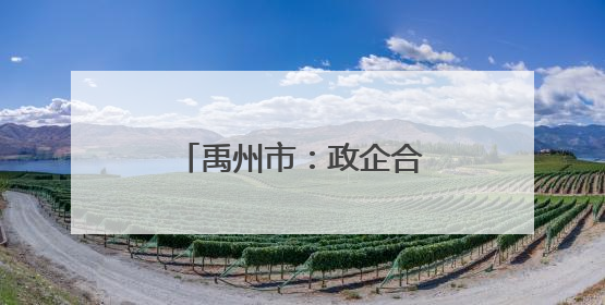 禹州市：政企合力推动绿色转型
