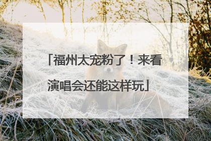 福州太宠粉了！来看演唱会还能这样玩