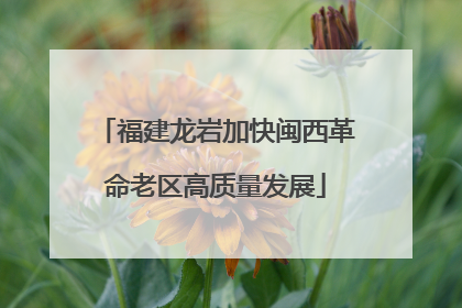 福建龙岩加快闽西革命老区高质量发展