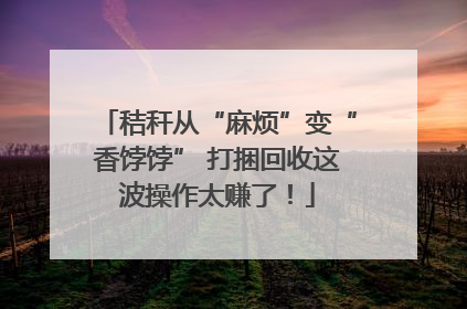 秸秆从“麻烦”变“香饽饽” 打捆回收这波操作太赚了！