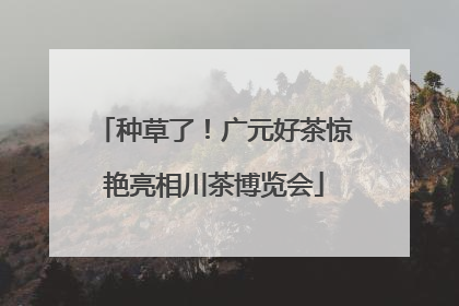 种草了！广元好茶惊艳亮相川茶博览会