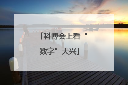 科博会上看“数字”大兴