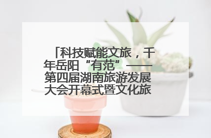 科技赋能文旅，千年岳阳“有范”——第四届湖南旅游发展大会开幕式暨文化旅游推介会侧记