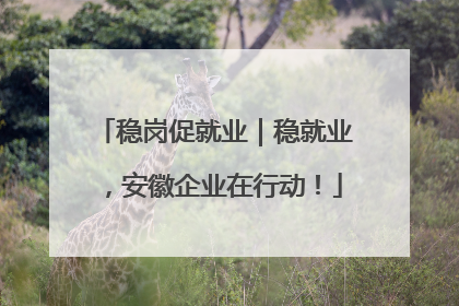 稳岗促就业｜稳就业，安徽企业在行动！