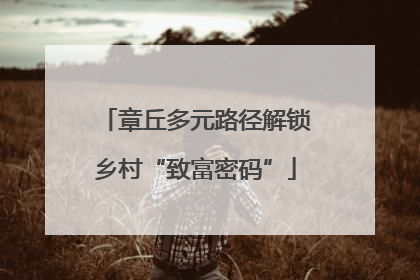 章丘多元路径解锁乡村“致富密码”