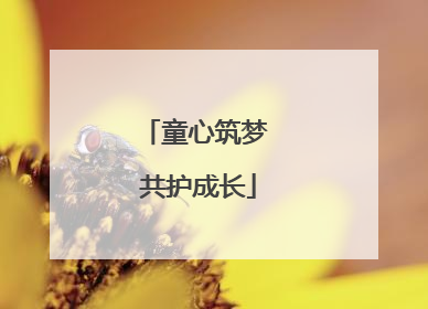 童心筑梦 共护成长