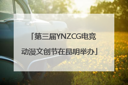 第三届YNZCG电竞动漫文创节在昆明举办