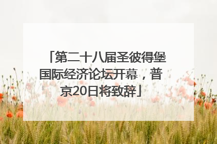 第二十八届圣彼得堡国际经济论坛开幕，普京20日将致辞