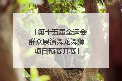 第十五届全运会群众展演舞龙舞狮项目预赛开赛