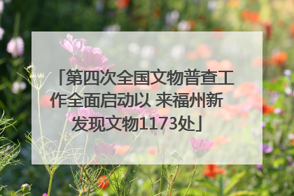 第四次全国文物普查工作全面启动以 来福州新发现文物1173处