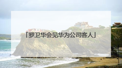 罗卫华会见华为公司客人