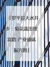 罗平县大水井乡：菊花栽出致富路 产业铺就振兴图