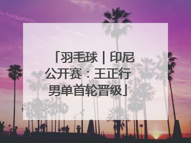 羽毛球｜印尼公开赛：王正行男单首轮晋级